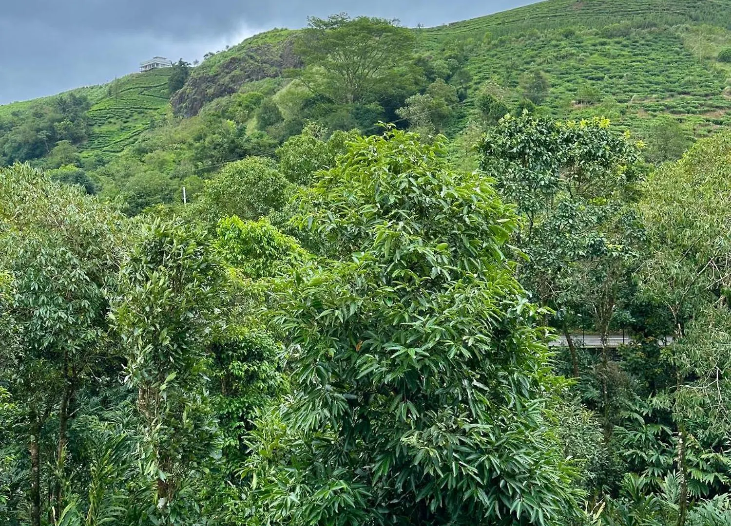 8-5 Acres Hotel Vagamon India
