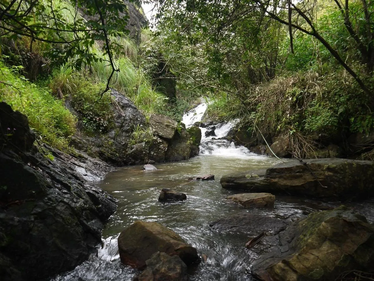 Resort 8-5 Acres Hotel Vagamon