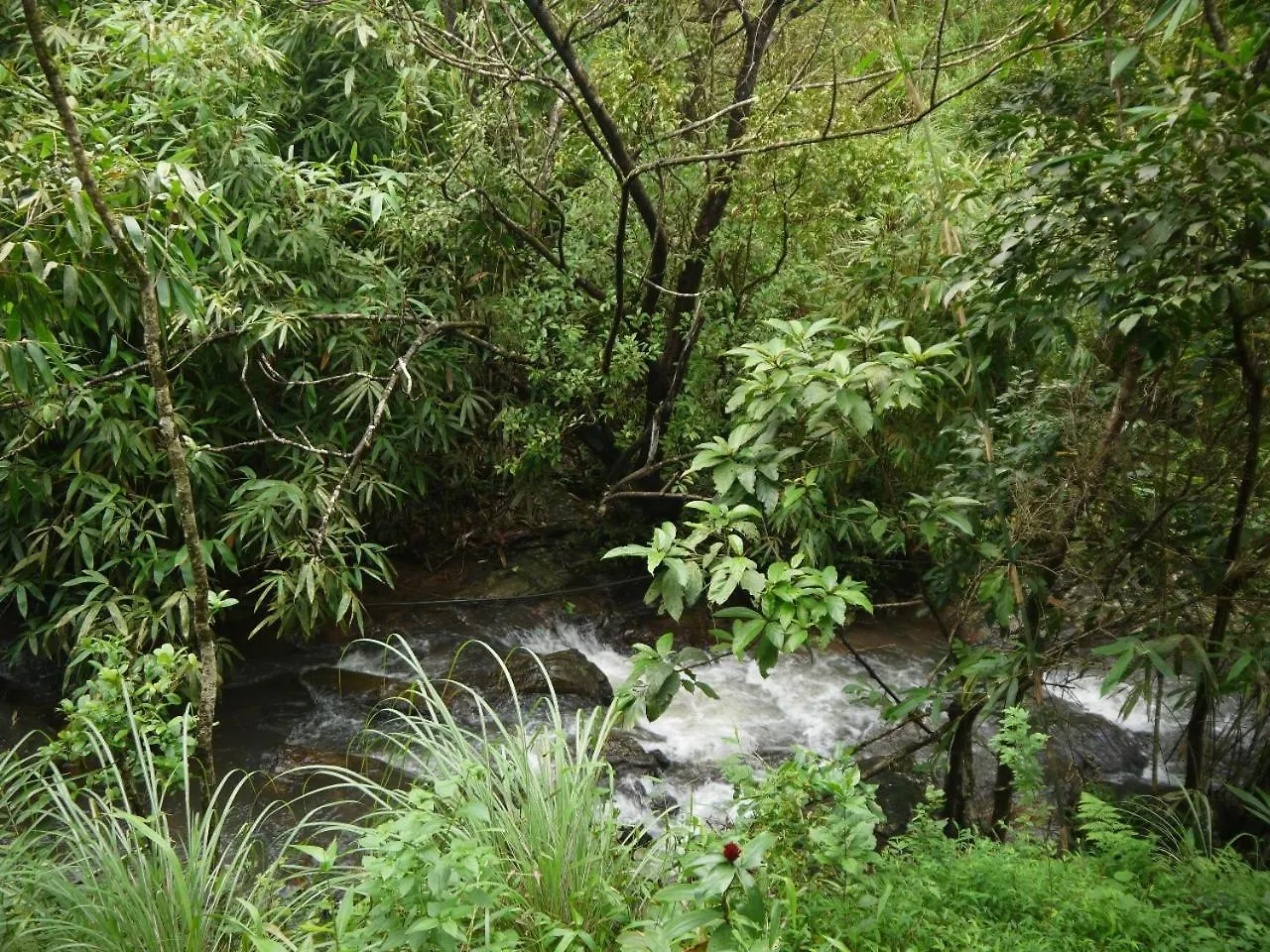 Resort 8-5 Acres Hotel Vagamon